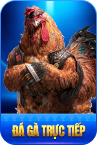 đá gà top 88aa